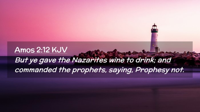 Picture 02 - Amos 2:12 KJV Desktop Wallpaper - But ye gave the Nazarites wine to drink; and - Desktop Bible Verse Wallpaper
