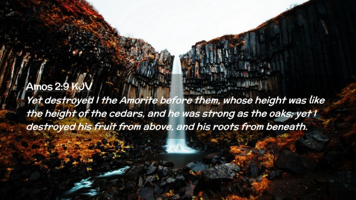 Picture 02 - Amos 2:9 KJV Desktop Wallpaper - Yet destroyed I the Amorite before them, whose - Desktop Bible Verse Wallpaper