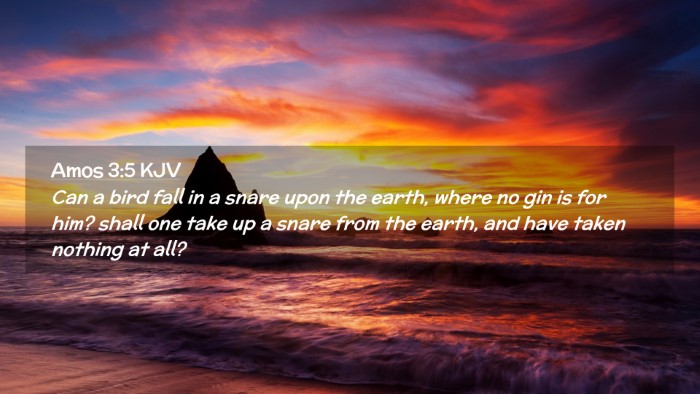 Picture 02 - Amos 3:5 KJV Desktop Wallpaper - Can a bird fall in a snare upon the earth, where - Desktop Bible Verse Wallpaper