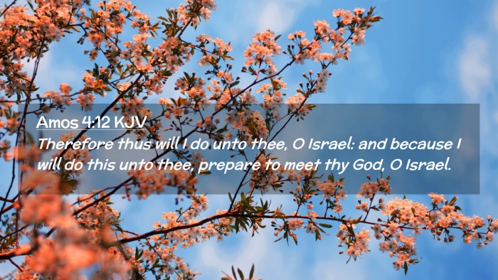Picture 02 - Amos 4:12 KJV Desktop Wallpaper - Therefore thus will I do unto thee, O Israel: and - Desktop Bible Verse Wallpaper
