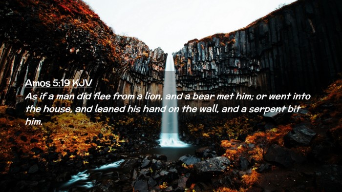 Picture 02 - Amos 5:19 KJV Desktop Wallpaper - As if a man did flee from a lion, and a bear met - Desktop Bible Verse Wallpaper