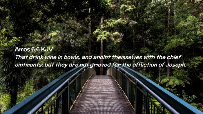 Picture 02 - Amos 6:6 KJV Desktop Wallpaper - That drink wine in bowls, and anoint themselves - Desktop Bible Verse Wallpaper