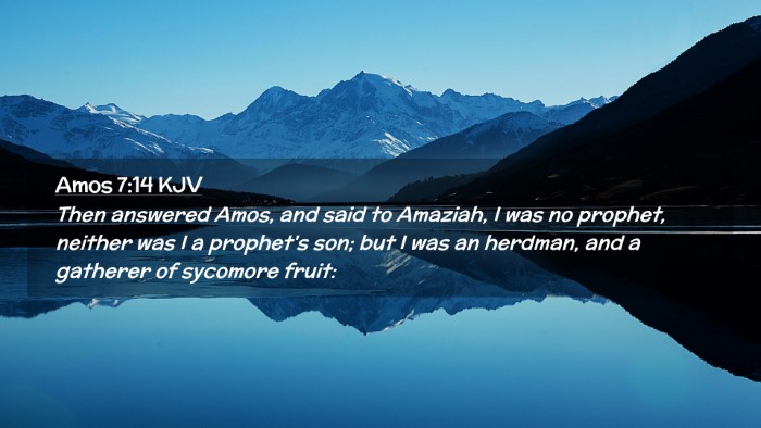 Picture 02 - Amos 7:14 KJV Desktop Wallpaper - Then answered Amos, and said to Amaziah, I was no - Desktop Bible Verse Wallpaper