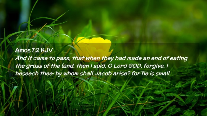 Picture 02 - Amos 7:2 KJV Desktop Wallpaper - And it came to pass, that when they had made an - Desktop Bible Verse Wallpaper