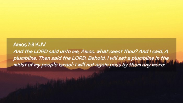 Picture 02 - Amos 7:8 KJV Desktop Wallpaper - And the LORD said unto me, Amos, what seest thou? - Desktop Bible Verse Wallpaper