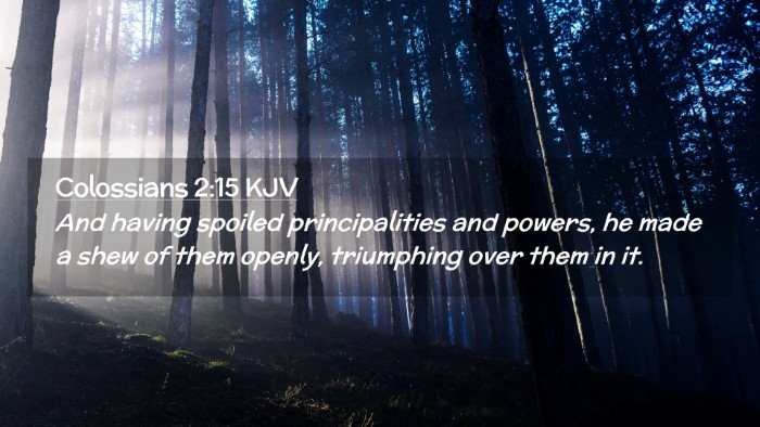 Picture 02 - Colossians 2:15 KJV Desktop Wallpaper - And having spoiled principalities and powers, he - Desktop Bible Verse Wallpaper