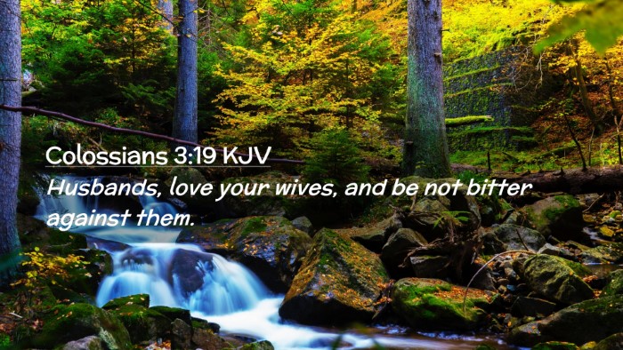 Picture 02 - Colossians 3:19 KJV Desktop Wallpaper - Husbands, love your wives, and be not bitter - Desktop Bible Verse Wallpaper