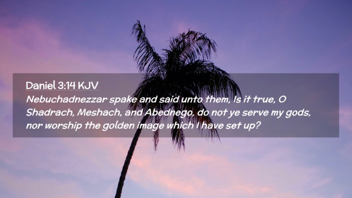 Picture 02 - Daniel 3:14 KJV Desktop Wallpaper - Nebuchadnezzar spake and said unto them, Is it - Desktop Bible Verse Wallpaper