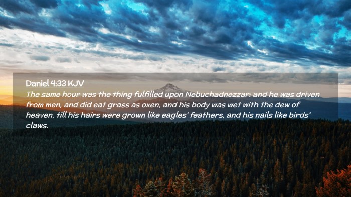 Picture 02 - Daniel 4:33 KJV Desktop Wallpaper - The same hour was the thing fulfilled upon - Desktop Bible Verse Wallpaper