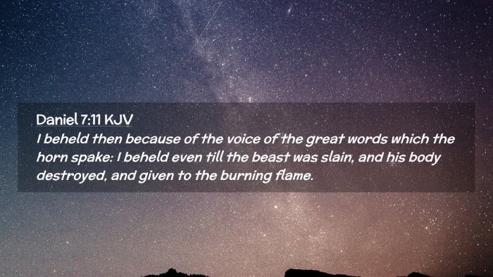 Picture 02 - Daniel 7:11 KJV Desktop Wallpaper - I beheld then because of the voice of the great - Desktop Bible Verse Wallpaper