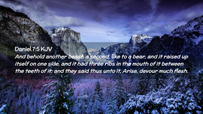 Picture 02 - Daniel 7:5 KJV Desktop Wallpaper - And behold another beast, a second, like to a - Desktop Bible Verse Wallpaper