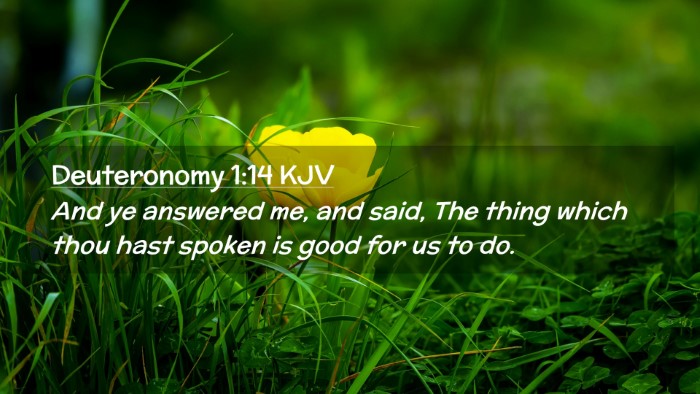 Picture 02 - Deuteronomy 1:14 KJV Desktop Wallpaper - And ye answered me, and said, The thing which - Desktop Bible Verse Wallpaper