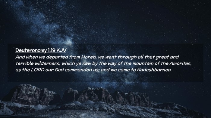 Picture 02 - Deuteronomy 1:19 KJV Desktop Wallpaper - And when we departed from Horeb, we went through - Desktop Bible Verse Wallpaper