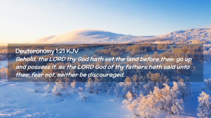 Picture 02 - Deuteronomy 1:21 KJV Desktop Wallpaper - Behold, the LORD thy God hath set the land before - Desktop Bible Verse Wallpaper