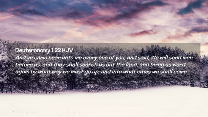 Picture 02 - Deuteronomy 1:22 KJV Desktop Wallpaper - And ye came near unto me every one of you, and - Desktop Bible Verse Wallpaper