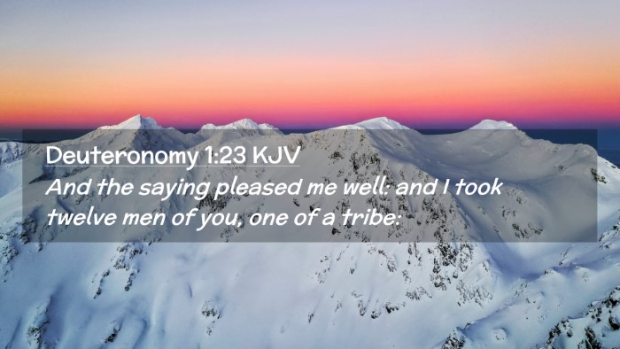 Picture 02 - Deuteronomy 1:23 KJV Desktop Wallpaper - And the saying pleased me well: and I took twelve - Desktop Bible Verse Wallpaper