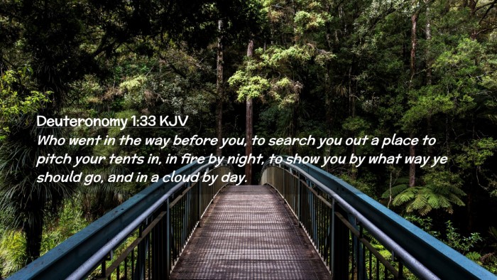 Picture 02 - Deuteronomy 1:33 KJV Desktop Wallpaper - Who went in the way before you, to search you out - Desktop Bible Verse Wallpaper