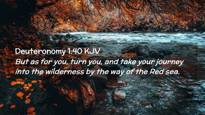 Picture 02 - Deuteronomy 1:40 KJV Desktop Wallpaper - But as for you, turn you, and take your journey - Desktop Bible Verse Wallpaper