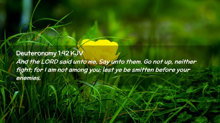 Picture 02 - Deuteronomy 1:42 KJV Desktop Wallpaper - And the LORD said unto me, Say unto them. Go not - Desktop Bible Verse Wallpaper