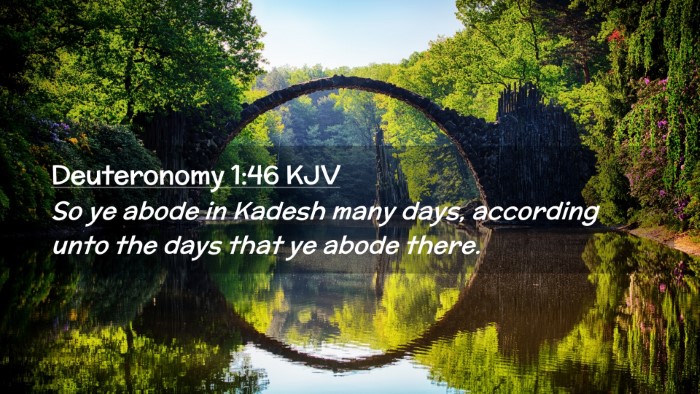 Picture 02 - Deuteronomy 1:46 KJV Desktop Wallpaper - So ye abode in Kadesh many days, according unto - Desktop Bible Verse Wallpaper