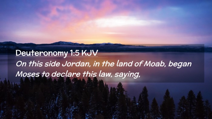Picture 02 - Deuteronomy 1:5 KJV Desktop Wallpaper - On this side Jordan, in the land of Moab, began - Desktop Bible Verse Wallpaper