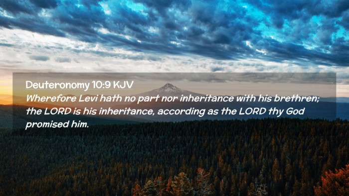 Picture 02 - Deuteronomy 10:9 KJV Desktop Wallpaper - Wherefore Levi hath no part nor inheritance with - Desktop Bible Verse Wallpaper
