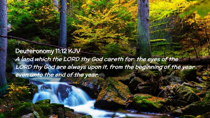 Picture 02 - Deuteronomy 11:12 KJV Desktop Wallpaper - A land which the LORD thy God careth for: the - Desktop Bible Verse Wallpaper