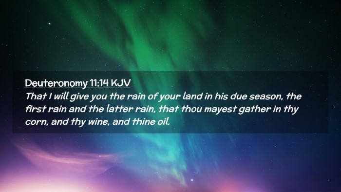 Picture 02 - Deuteronomy 11:14 KJV Desktop Wallpaper - That I will give you the rain of your land in his - Desktop Bible Verse Wallpaper