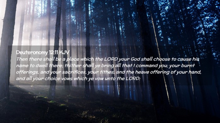 Picture 02 - Deuteronomy 12:11 KJV Desktop Wallpaper - Then there shall be a place which the LORD your - Desktop Bible Verse Wallpaper