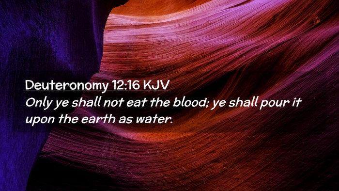 Picture 02 - Deuteronomy 12:16 KJV Desktop Wallpaper - Only ye shall not eat the blood; ye shall pour it - Desktop Bible Verse Wallpaper