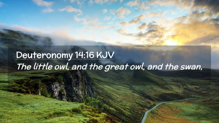 Picture 02 - Deuteronomy 14:16 KJV Desktop Wallpaper - The little owl, and the great owl, and the - Desktop Bible Verse Wallpaper