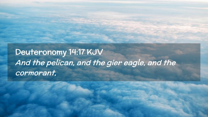 Picture 02 - Deuteronomy 14:17 KJV Desktop Wallpaper - And the pelican, and the gier eagle, and the - Desktop Bible Verse Wallpaper