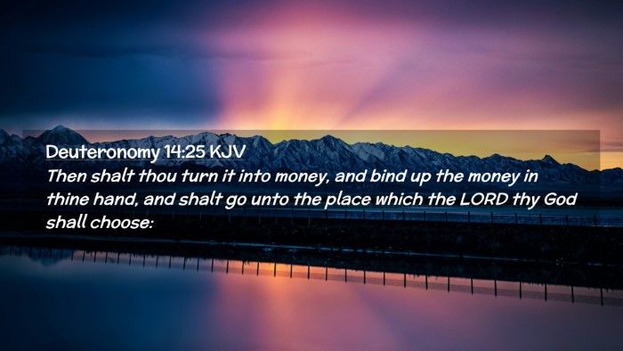 Picture 02 - Deuteronomy 14:25 KJV Desktop Wallpaper - Then shalt thou turn it into money, and bind up - Desktop Bible Verse Wallpaper