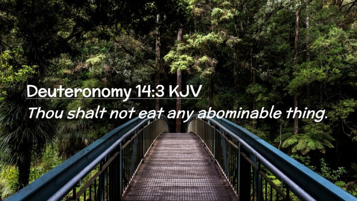 Picture 02 - Deuteronomy 14:3 KJV Desktop Wallpaper - Thou shalt not eat any abominable - Desktop Bible Verse Wallpaper