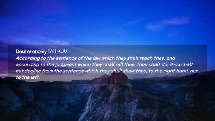 Picture 02 - Deuteronomy 17:11 KJV Desktop Wallpaper - According to the sentence of the law which they - Desktop Bible Verse Wallpaper