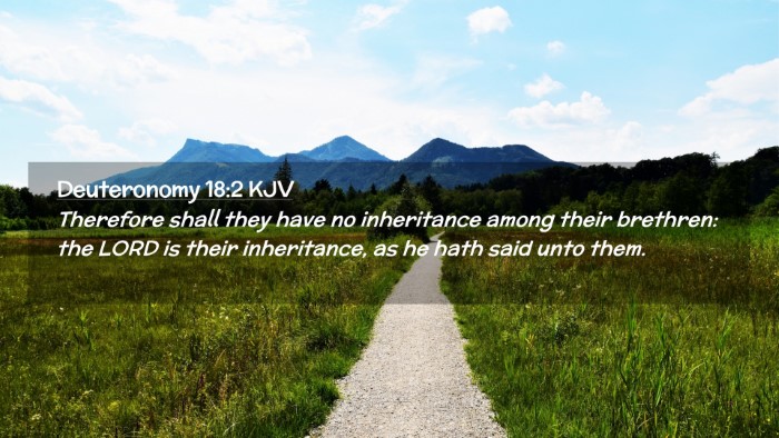 Picture 02 - Deuteronomy 18:2 KJV Desktop Wallpaper - Therefore shall they have no inheritance among - Desktop Bible Verse Wallpaper