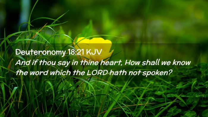 Picture 02 - Deuteronomy 18:21 KJV Desktop Wallpaper - And if thou say in thine heart, How shall we know - Desktop Bible Verse Wallpaper
