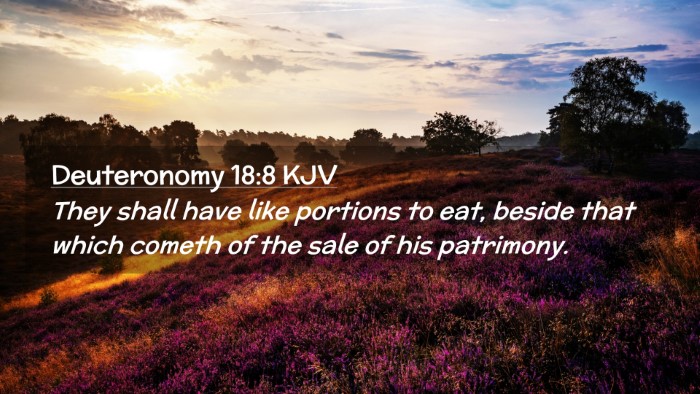 Picture 02 - Deuteronomy 18:8 KJV Desktop Wallpaper - They shall have like portions to eat, beside that - Desktop Bible Verse Wallpaper