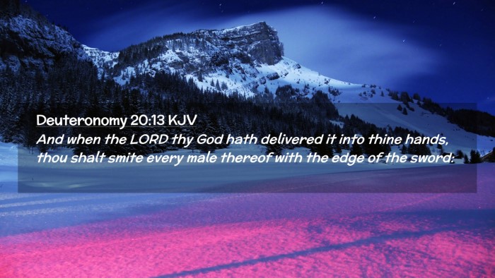 Picture 02 - Deuteronomy 20:13 KJV Desktop Wallpaper - And when the LORD thy God hath delivered it into - Desktop Bible Verse Wallpaper