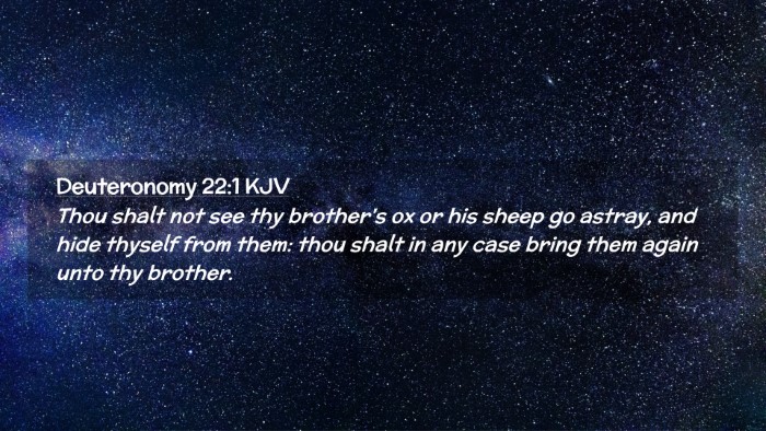 Picture 02 - Deuteronomy 22:1 KJV Desktop Wallpaper - Thou shalt not see thy brother's ox or his sheep - Desktop Bible Verse Wallpaper