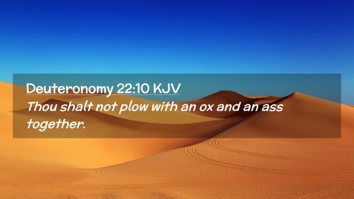 Picture 02 - Deuteronomy 22:10 KJV Desktop Wallpaper - Thou shalt not plow with an ox and an ass - Desktop Bible Verse Wallpaper