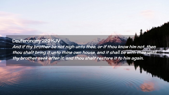 Picture 02 - Deuteronomy 22:2 KJV Desktop Wallpaper - And if thy brother be not nigh unto thee, or if - Desktop Bible Verse Wallpaper