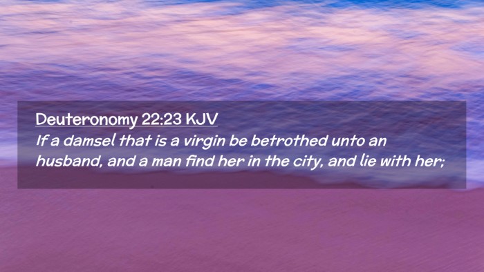 Picture 02 - Deuteronomy 22:23 KJV Desktop Wallpaper - If a damsel that is a virgin be betrothed unto an - Desktop Bible Verse Wallpaper