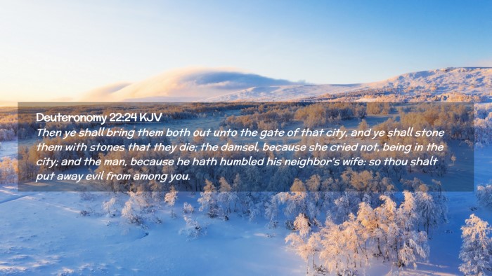 Picture 02 - Deuteronomy 22:24 KJV Desktop Wallpaper - Then ye shall bring them both out unto the gate - Desktop Bible Verse Wallpaper