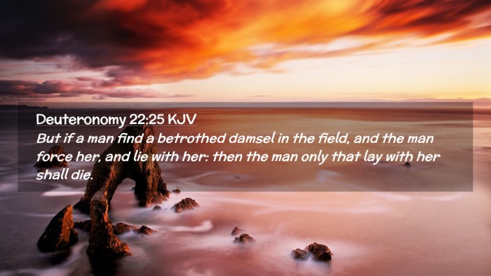 Picture 02 - Deuteronomy 22:25 KJV Desktop Wallpaper - But if a man find a betrothed damsel in the - Desktop Bible Verse Wallpaper