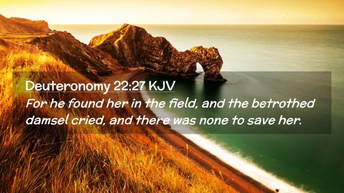 Picture 02 - Deuteronomy 22:27 KJV Desktop Wallpaper - For he found her in the field, and the betrothed - Desktop Bible Verse Wallpaper