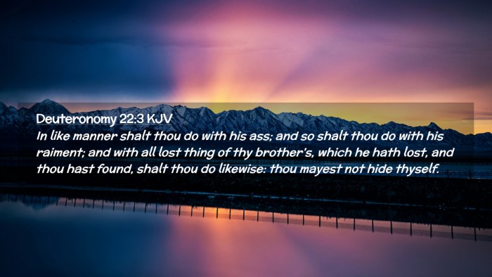 Picture 02 - Deuteronomy 22:3 KJV Desktop Wallpaper - In like manner shalt thou do with his ass; and so - Desktop Bible Verse Wallpaper