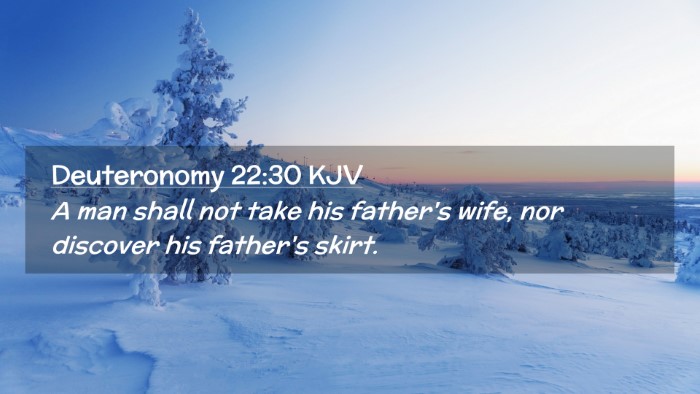Picture 02 - Deuteronomy 22:30 KJV Desktop Wallpaper - A man shall not take his father's wife, nor - Desktop Bible Verse Wallpaper