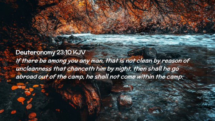 Picture 02 - Deuteronomy 23:10 KJV Desktop Wallpaper - If there be among you any man, that is not clean - Desktop Bible Verse Wallpaper