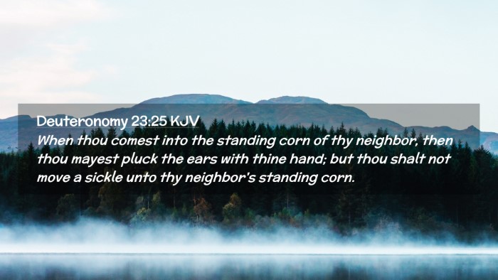 Picture 02 - Deuteronomy 23:25 KJV Desktop Wallpaper - When thou comest into the standing corn of thy - Desktop Bible Verse Wallpaper